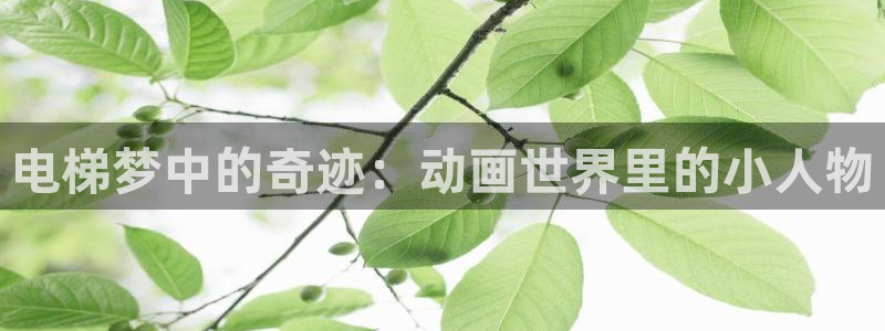 acg动漫下载入口：电梯梦中的奇迹：动画世界里的小人物